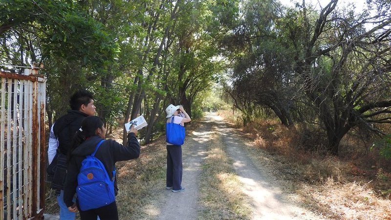 Carolyn and two ITESI students search the trees for birds in the state of Guanajuato, Mexico.