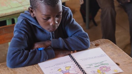 Nearly 80 Edison students wrote stories in French for elementary students in Senegal and art students at the school illustrat
