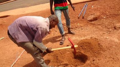 tree planting