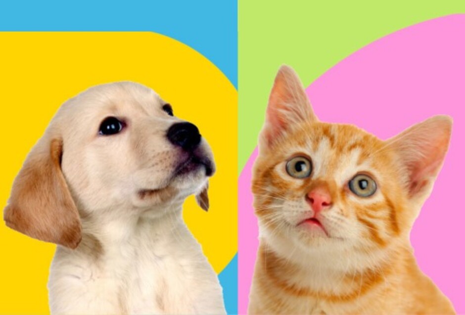 Bendición de Patitas PUCP