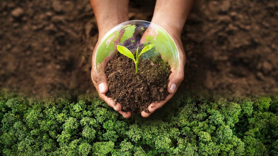 Padre Alexis Rodríguez: “La