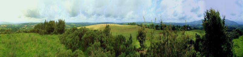 360? panorama of the contest place near Fethard CoTipperary