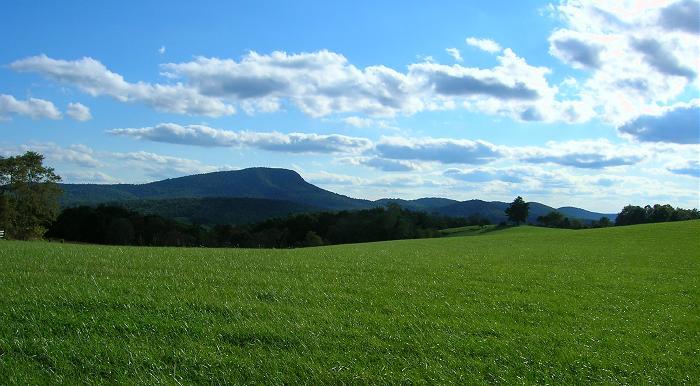 Buffalo Mountain View