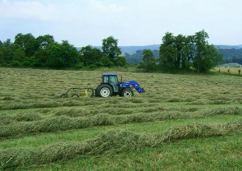 Farm