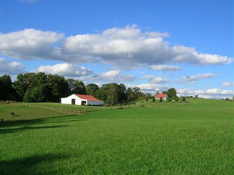 Farm View