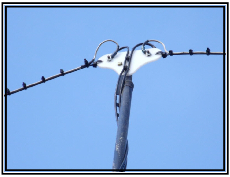 G6INU Callsign Lookup by QRZ Ham Radio