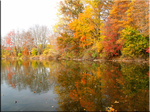 Churchville Nature Center Fishing Churchville Nature Center Fishing