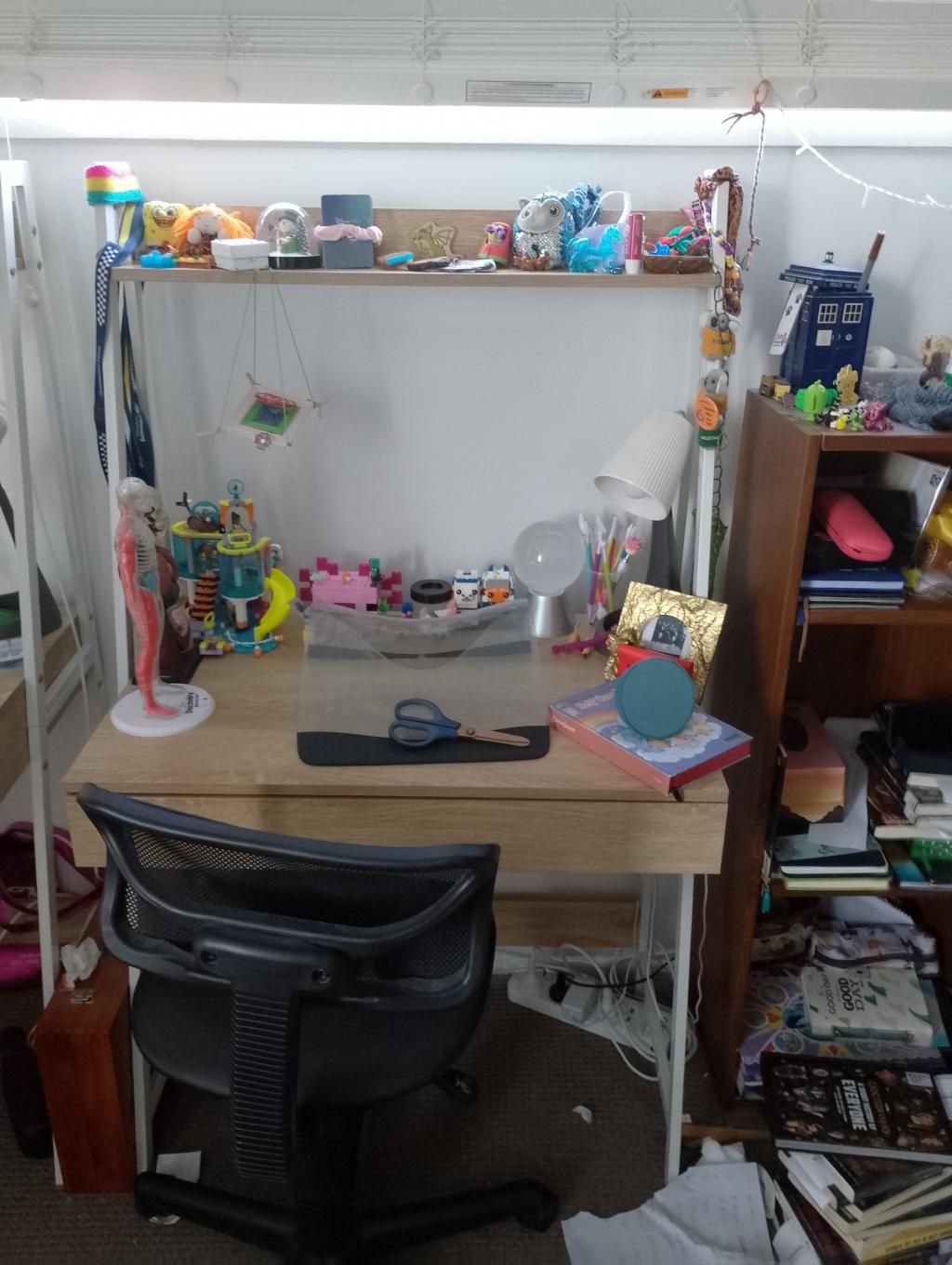 Roast My Desk