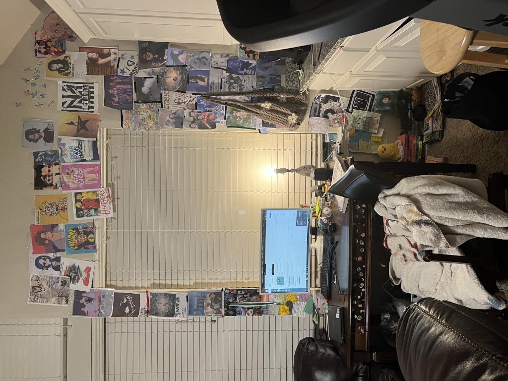 Roast My Desk