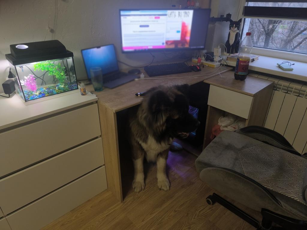 Roast My Desk