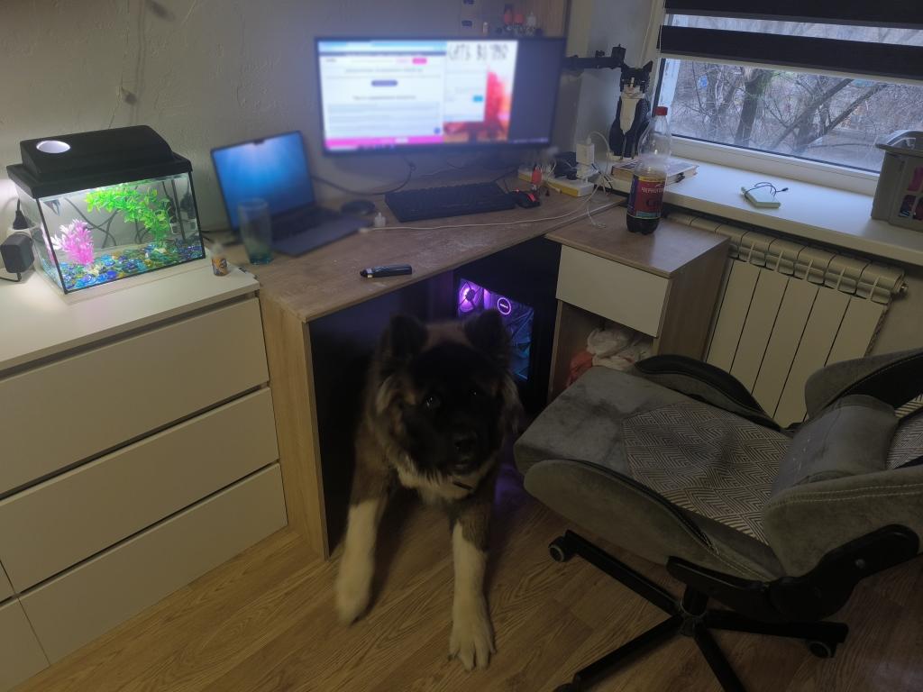 Roast My Desk
