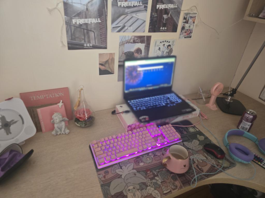 Roast My Desk