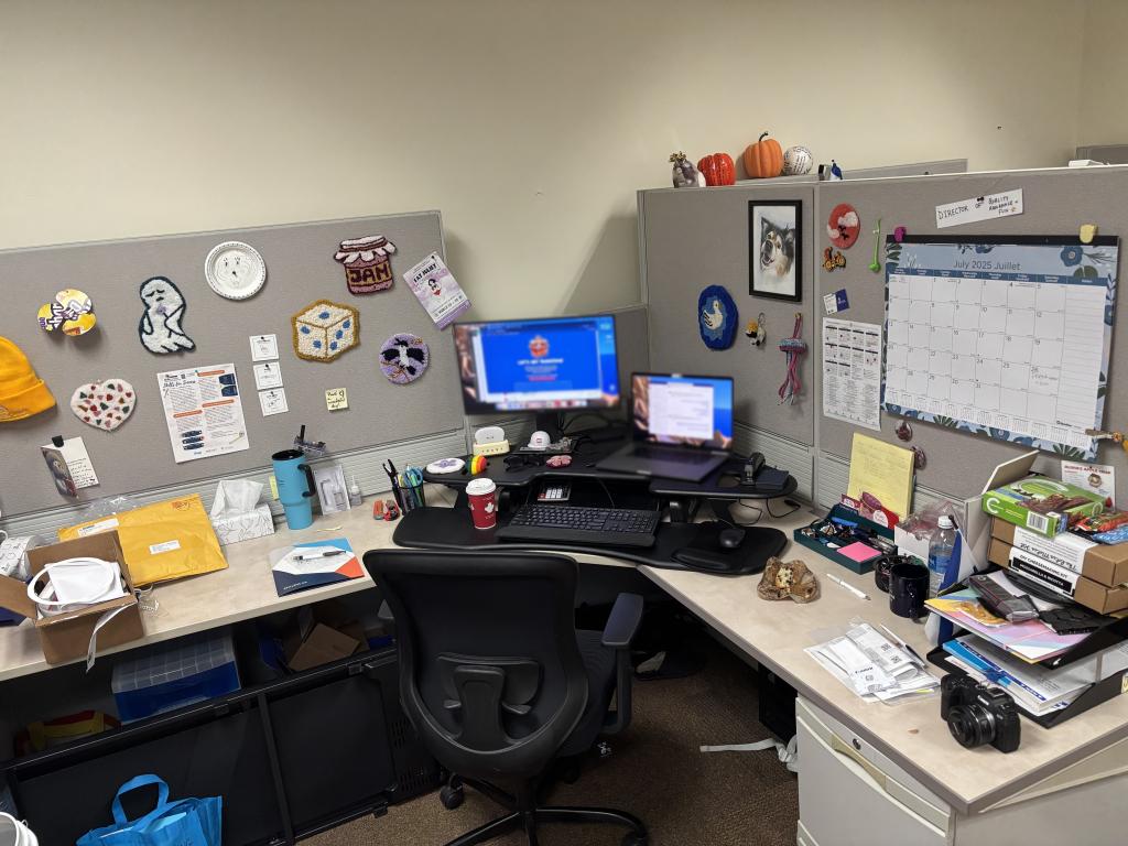Roast My Desk