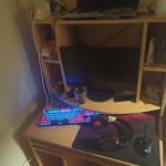 Your desk