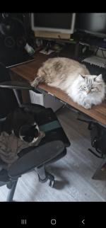 Your desk
