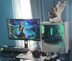 Your desk