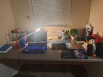 Roast My Desk