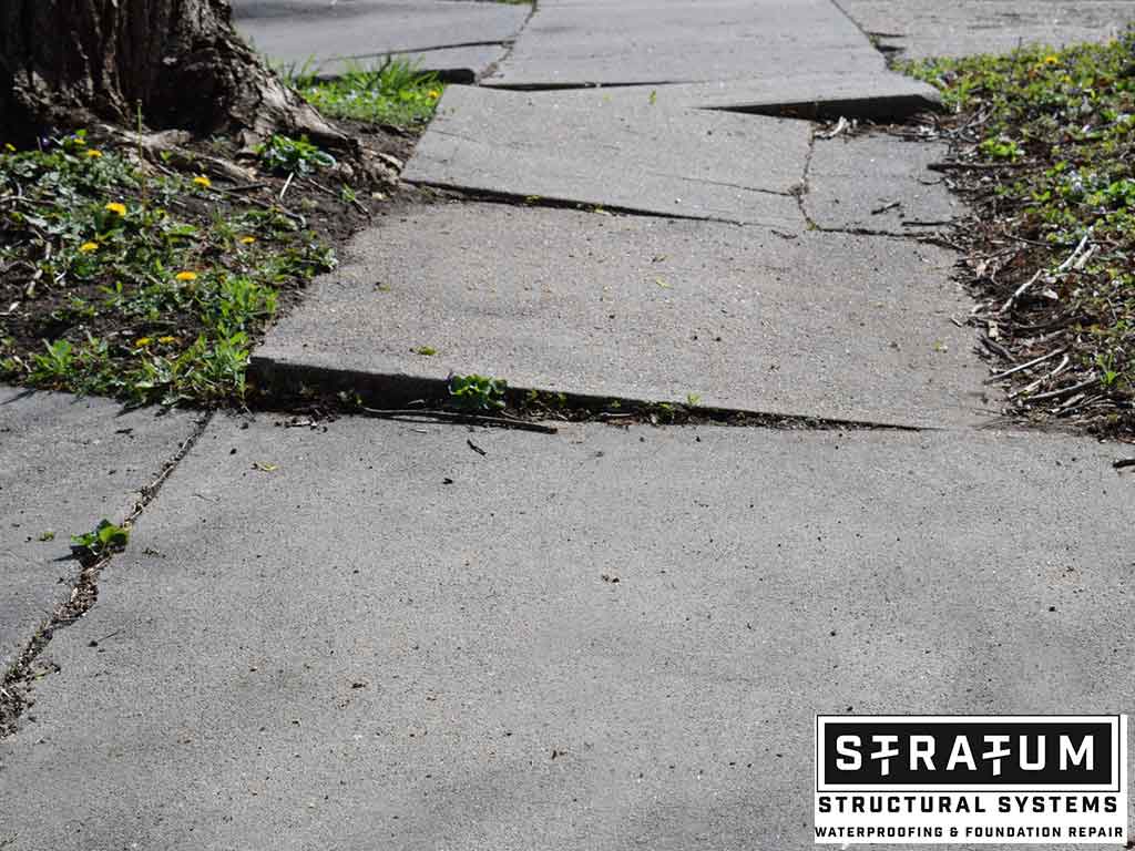 Sidewalk Cracks and Unevenness How and Why They Happen