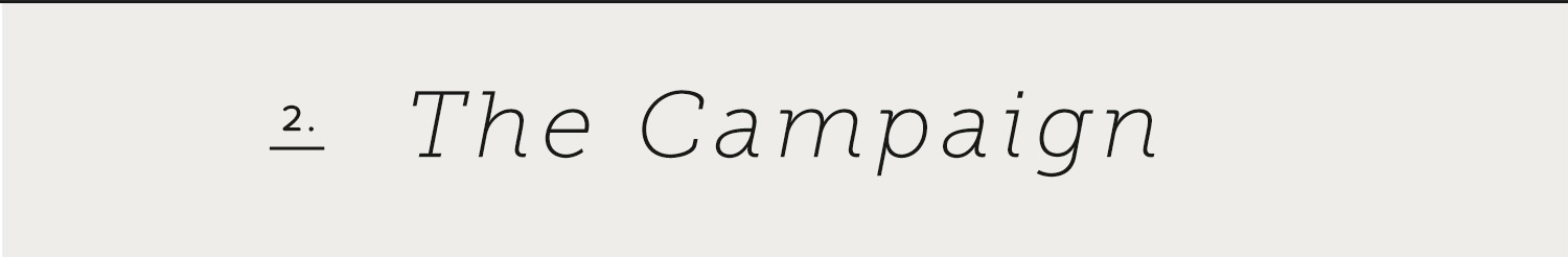 2 Thecampaign 2 Thecampaign