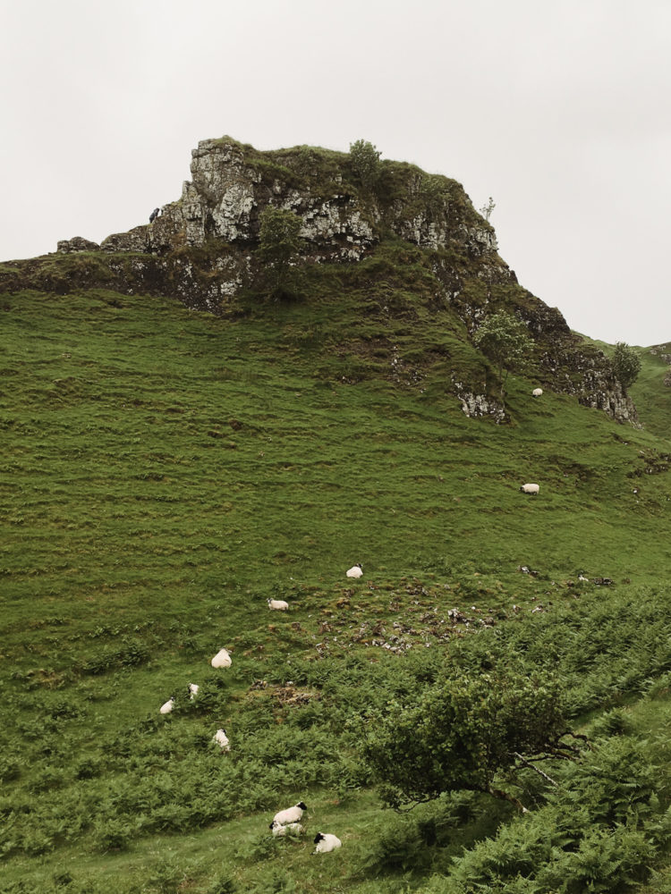 Fairy Glen3 Fairy Glen3