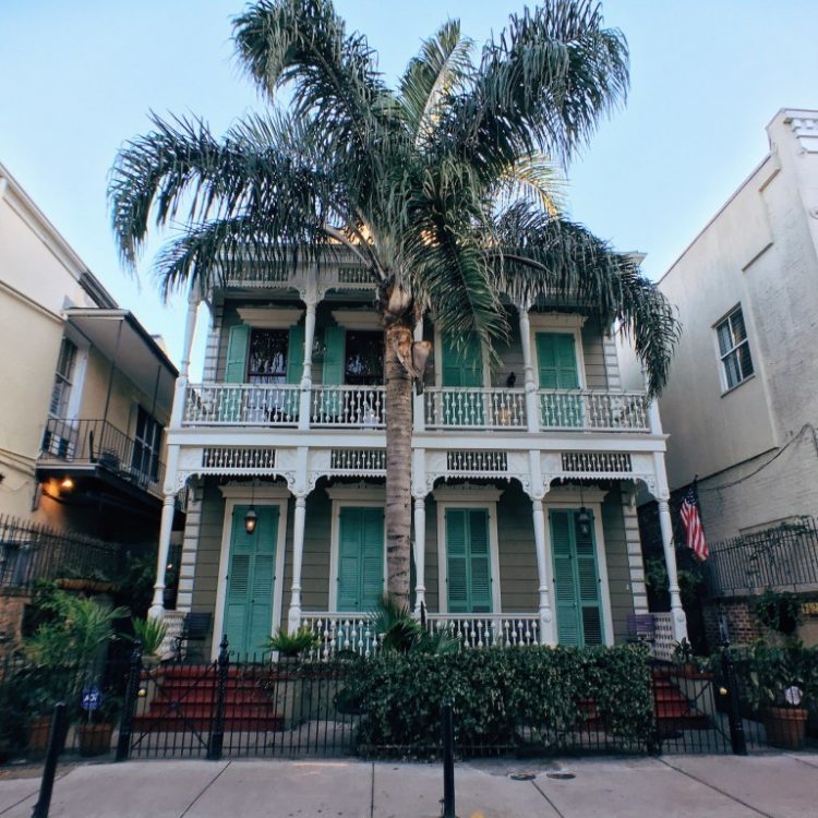 Nola15B Nola15B
