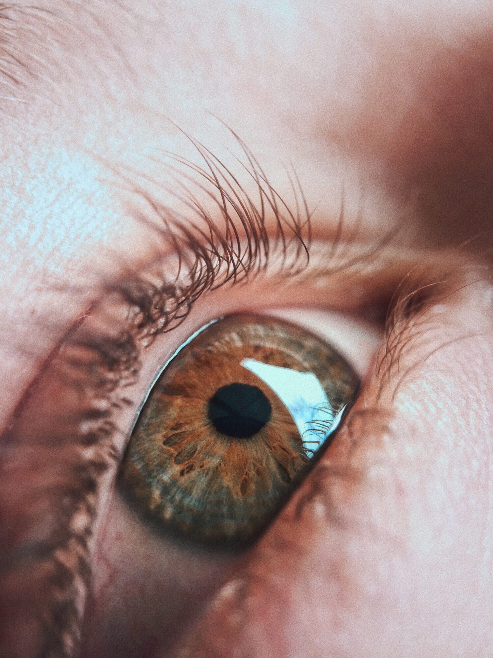 Basic Tips For Capturing Eyes Using A Macro Lens Moment