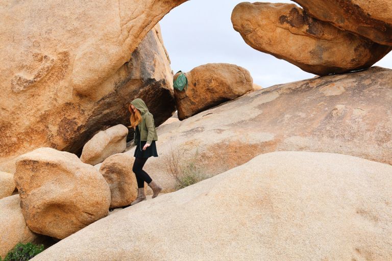 Joshua Tree 10 Joshua Tree 10