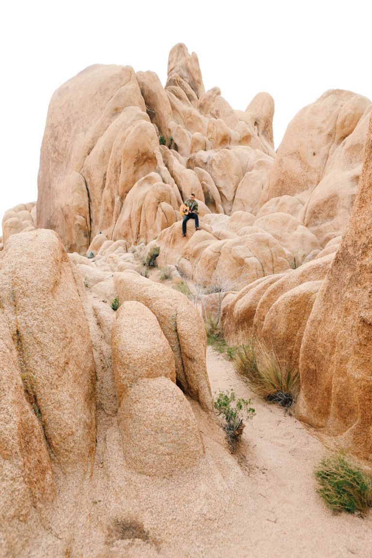 Joshua Tree 13 Joshua Tree 13
