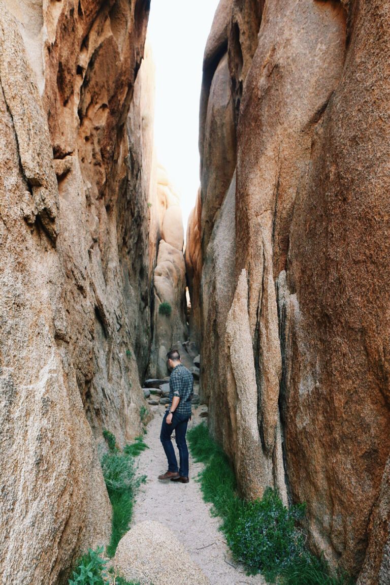 Joshua Tree 17 Joshua Tree 17
