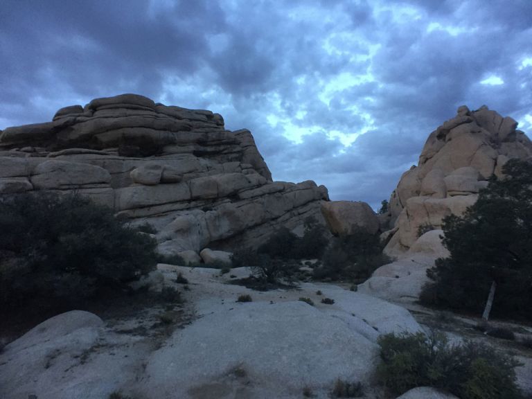 Joshua Tree 21A Joshua Tree 21A