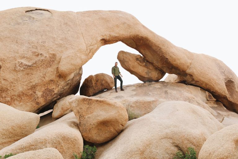 Joshua Tree 9 Joshua Tree 9
