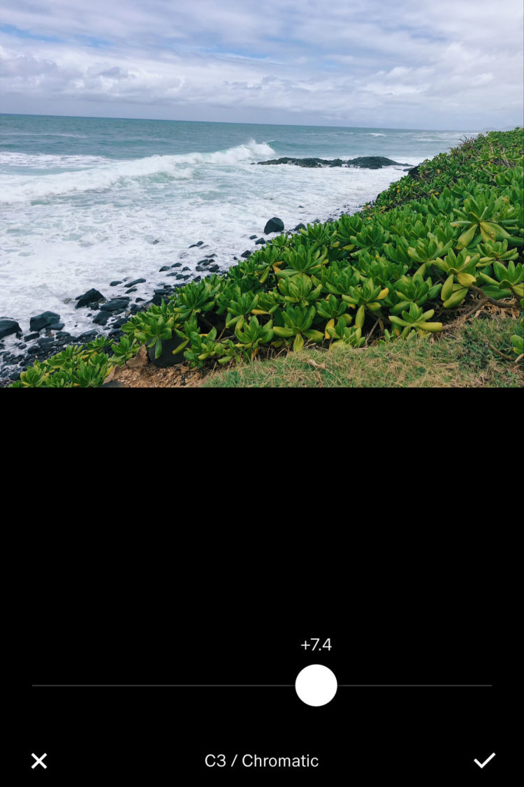 Img 2339 Img 2339