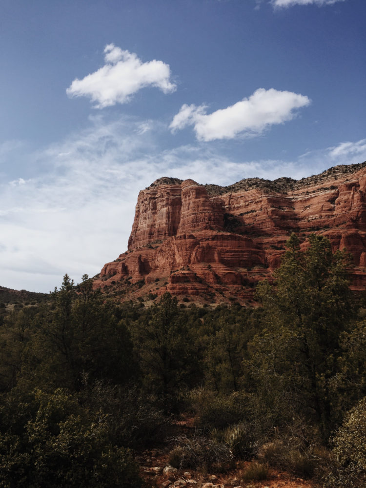 Jonathan Martin Arizona 18 Jonathan Martin Arizona 18