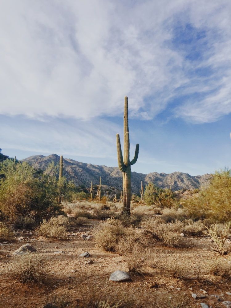 Jonathan Martin Arizona 2 Jonathan Martin Arizona 2