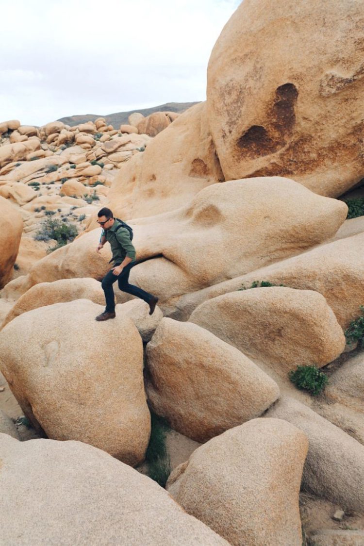 Joshua Tree 12A Joshua Tree 12A
