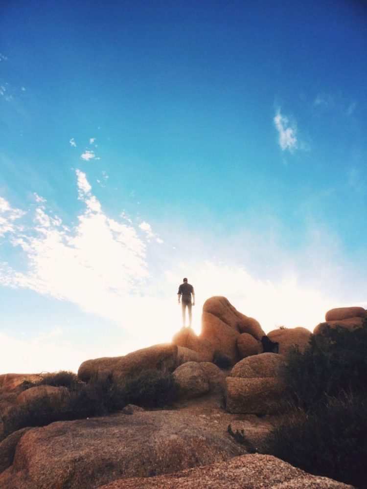 Joshua Tree 18B Joshua Tree 18B