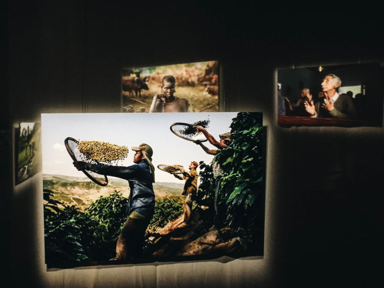 Brussels Steve Mccurry Brussels Steve Mccurry