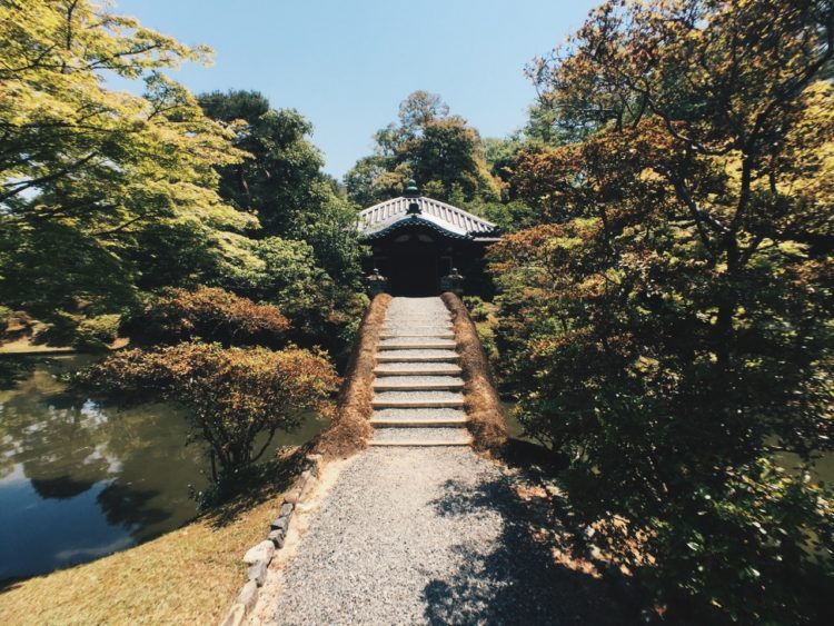 Katsura 3 Katsura 3