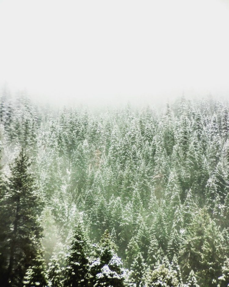 Tahoe 4A Tahoe 4A