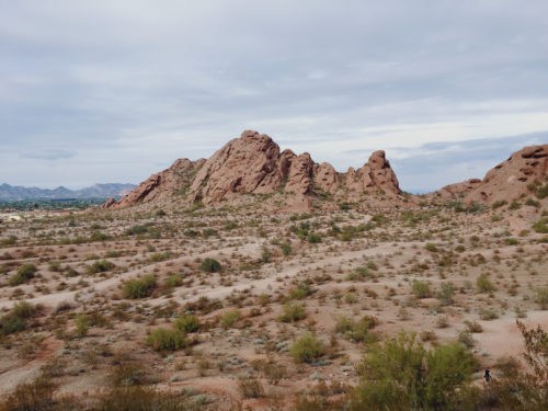 Jonathan Martin Arizona 5 Jonathan Martin Arizona 5