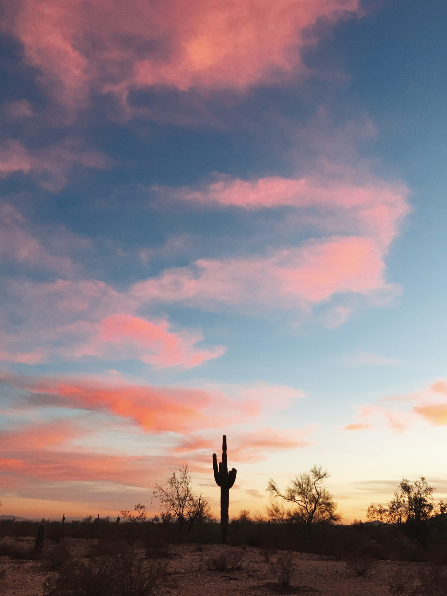 Jonathan Martin Arizona 1 Jonathan Martin Arizona 1