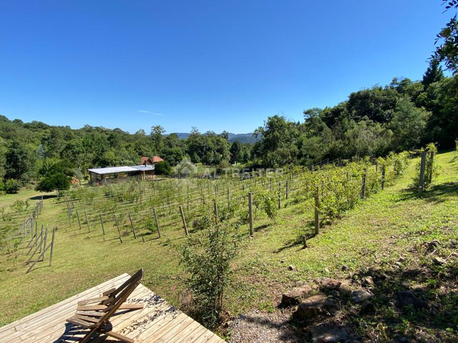 VISTA DOS VINHEDOS