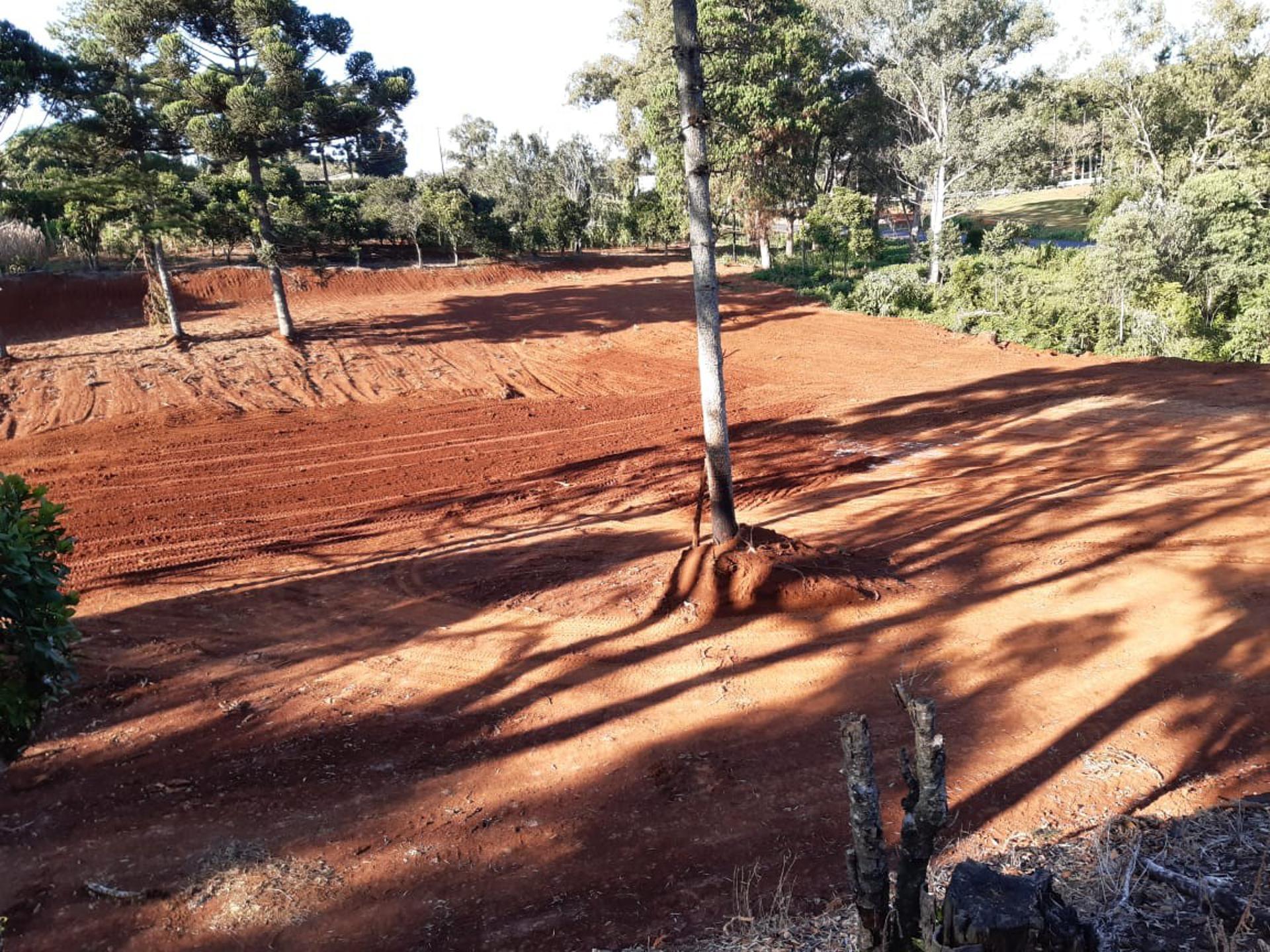 Erechim Chácara com 10.000 m² frente pra RS 135 