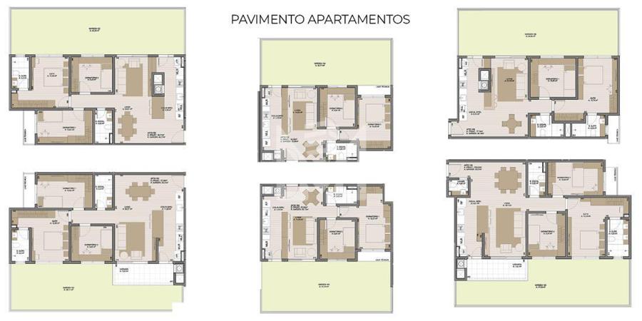 PLANTA