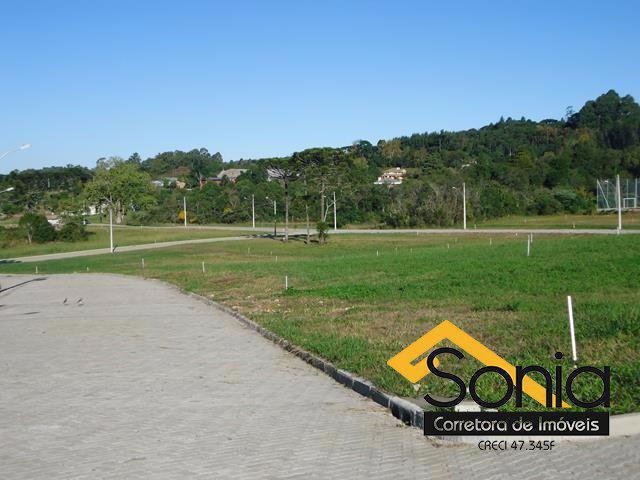 DSC04758