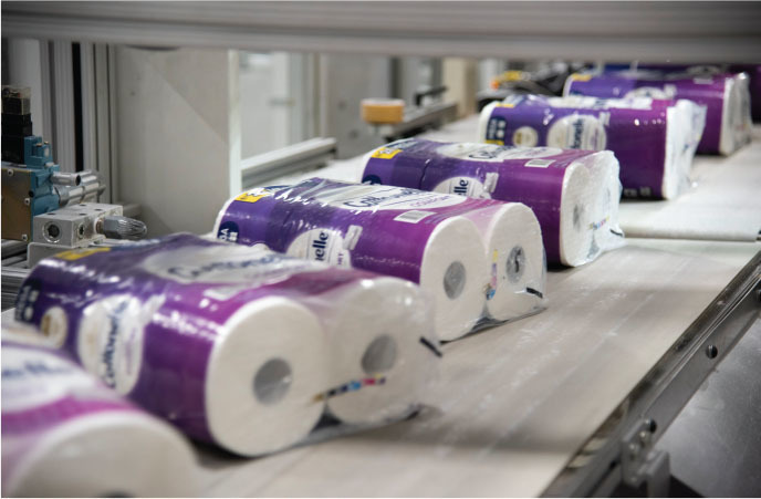 cottonelle is one of the major consumer brands produced at the beech island facility
