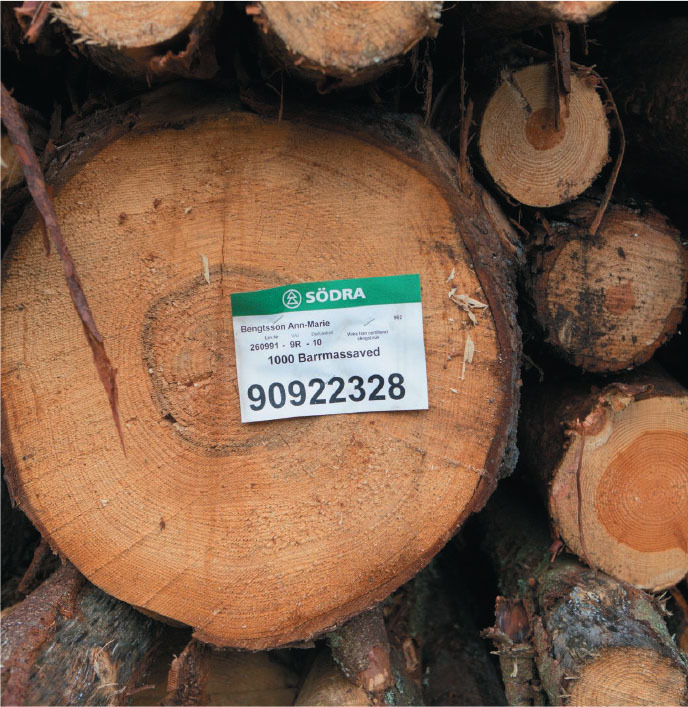 the company works to a planting cycle of 70 80 years