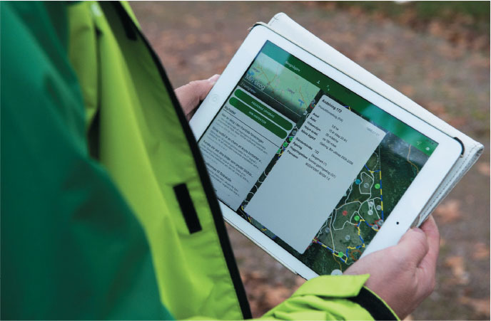 sodra offers its forest-owning members a wide range of sustainable