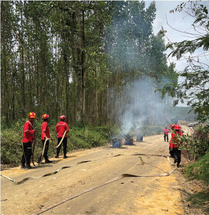 fire management systems