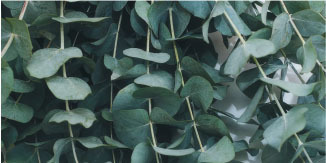 tissue furnish selection and optimization